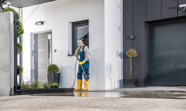 Pre-Holiday Cleaning in East Aurora, NY